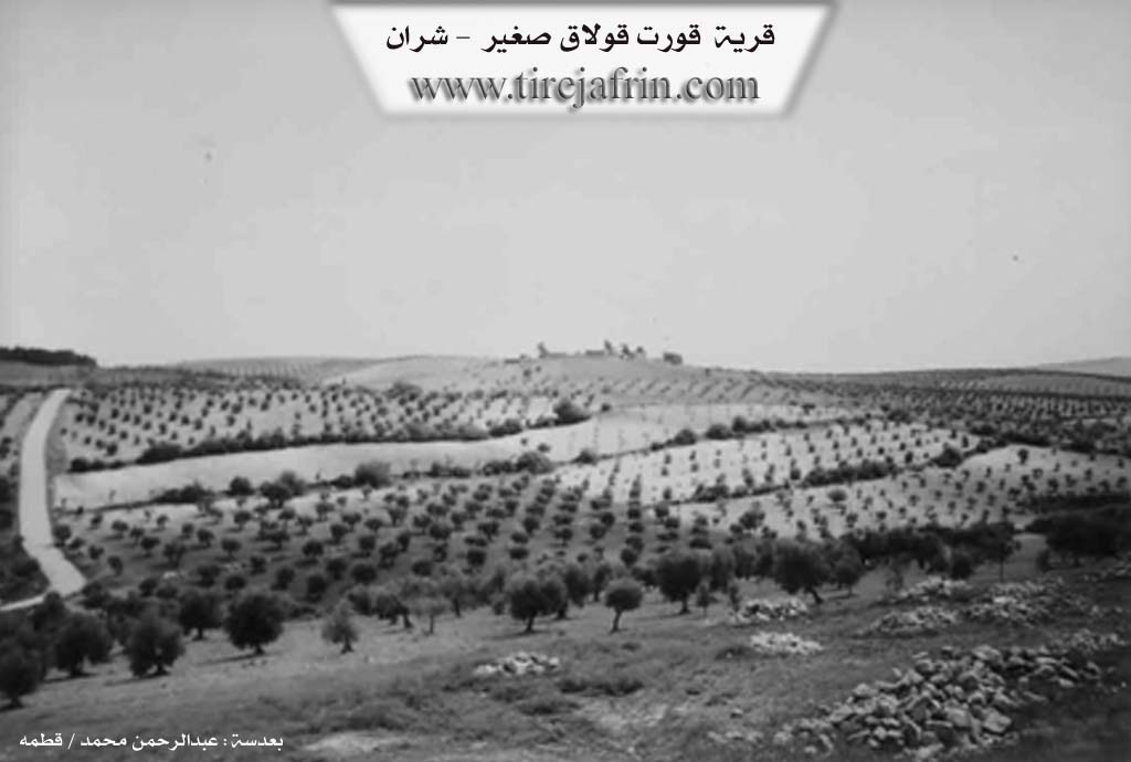 Photo of Qurtqulaqê Çûçik
